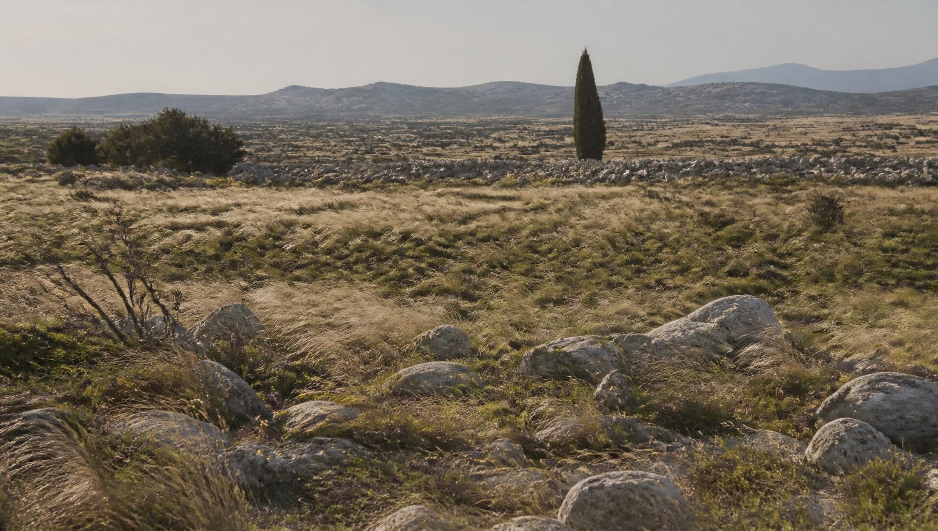 The stony plateau of the Crau plain in Provence under hazy Mediterranean light